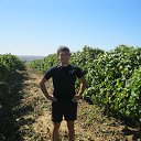 ���� ������, �������, 48 ��� - ��������� 4 ������� 2013 � ������ ���� ����������