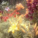 ���� ��������, ����� - ��������� 3 ����� 2014 � ������ ��฻