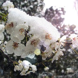 ���� ������, ������, 41 ��� - ��������� 17 ������� 2013