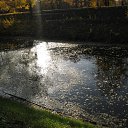 ���� �����, �����-���������, 41 ��� - ��������� 13 ������� 2013 � ������ ���� ����������