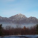 ���� �����, ����, 49 ��� - ��������� 24 ������� 2013