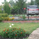 ���� ���������, ���������, 66 ��� - ��������� 13 ������� 2013 � ������ ���� ����