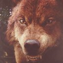  , -, 51  -  19  2014    