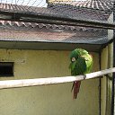 ���� ������, ������, 64 ���� - ��������� 21 �������� 2013 � ������ �� ����� ���� "�������" 18.09.2013�