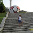  , , 63  -  3  2013    