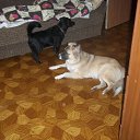 ���� ���������, ������, 75 ��� - ��������� 22 ������ 2013 � ������ ���� ����������