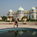  , -, 50  -  11  2014    2013