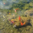 ���� ������ ����, ����, 44 ���� - ��������� 17 ������� 2013 � ������ �������� ������!�