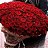 ���� Sazhida, ������, 41 ��� - ��������� 13 ������� 2013