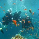 ������ 2009, �� 10-�������� �������))))) � �����
 �� ������� ���� ����������