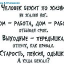 ���� ����, ����, 85 ��� - ��������� 3 ������ 2014 � ������ ��������������