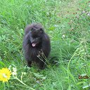 ���� ���������, �����, 53 ���� - ��������� 6 ������� 2013