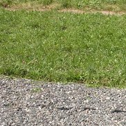 PAWEL, 46 ���, ���������