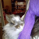 ���� ��������, �������� - ��������� 4 ������� 2014 � ������ ���� ����������