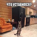 ���� ������, ���� - ��������� 3 ����� 2014 � ������ ���� ����������