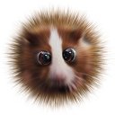 ���� ����, ������, 36 ��� - ��������� 28 �������� 2013 � ������ ���� ����������