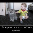 ���� ����������, �����, 33 ���� - ��������� 28 ������� 2014 � ������ ������ ��������