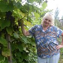 ���� �������, ����������, 64 ���� - ��������� 15 �������� 2013 � ������ ���� ����������