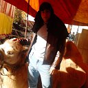 ���� ��������, ���������, 39 ��� - ��������� 2 ������� 2013 � ������ ���� ����������