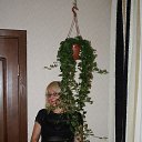 ���� �������, ���, 54 ���� - ��������� 25 ������ 2013