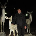 ���� ���������, ������������, 49 ��� - ��������� 4 ������ 2013 � ������ ���� ����������