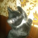 ���� Aleksey, �����-���������, 37 ��� - ��������� 12 ������ 2014 � ������ ���� ����������