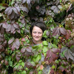 ���� �����, �����, 48 ��� - ��������� 23 �������� 2013