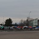 ���� ����, �������, 66 ��� - ��������� 19 ������ 2014 � ������ ������ ��������