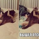 ���� ������, ����, 48 ��� - ��������� 12 ������ 2014 � ������ ���� ����������