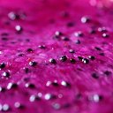 ���� ������, ������, 39 ��� - ��������� 14 ����� 2014 � ������ ������ ��������