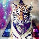 ���� ����, �������, 28 ��� - ��������� 6 ������� 2014 � ������ ���� ����������