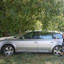 ���� ����, ������, 45 ��� - ��������� 13 �������� 2013 � ������ ���� ����������