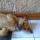 ���� �������, ������, 44 ���� - ��������� 25 ������ 2014 � ������ ���������� ������