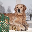 ���� �����, ������, 52 ���� - ��������� 22 ������� 2013 � ������ ���� ����������