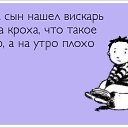 ���� ���������, ��������, 51 ��� - ��������� 15 ������� 2013 � ������ ���� ����������