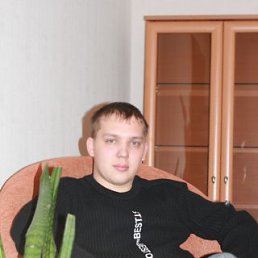 �����, ���, 41 ���