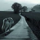 ���� �������, �����-2 - ��������� 7 �������� 2013