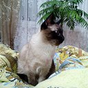 ���� ������, �����-���������, 50 ��� - ��������� 2 ����� 2014 � ������ ������ ��������