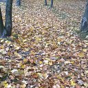 ���� Tarik, ���� - ��������� 11 ����� 2014 � ������ ���� ����������