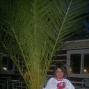 ������(�����)2013 �� ������� ���� ����������