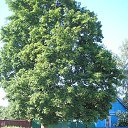 ���� Barbusalyi, ����������� - ��������� 5 ������� 2013 � ������ ���� ����������