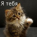 ���� Vladimir, ����-���������, 62 ���� - ��������� 16 ������ 2014 � ������ ���� ����������