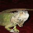 ���� Olga, �����-���������, 63 ���� - ��������� 17 ������� 2014 � ������ �its me�