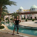  , -, 50  -  11  2014    2013