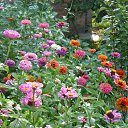 �������! �� ������� ���� ����������