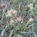 ��������� �������� ����� ������, ������ � ������, ��� � ������ ������ ������� ... �� ������� ���� ����������