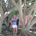 � ���������� ������ �� ������� ���� ����������