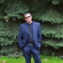 ����, ������, 49 ���