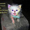 ���� �����, ����� - ��������� 25 ������ 2014 � ������ ���� ����������
