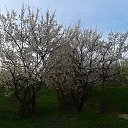 �����, ��������� ����� ���� ... �� ������� ���� ����������